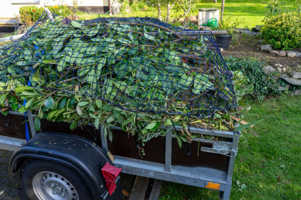 Best Hoarding Cleanup  in Forreston, IL